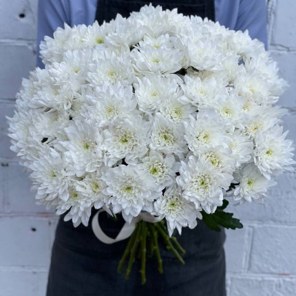 Белая кустовая хризантема - купить с доставкой в Хабаровске