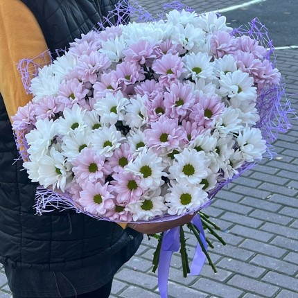 букет из розовой кустовой хризантемы - купить с доставкой в Хабаровске