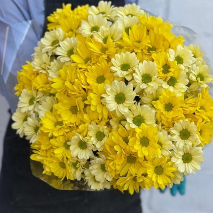 желтая кустовая хризантема - купить с доставкой в Хабаровске
